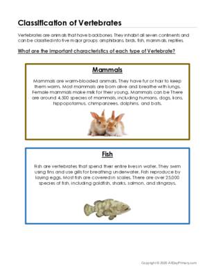 Classification of Vertebrates.pdf